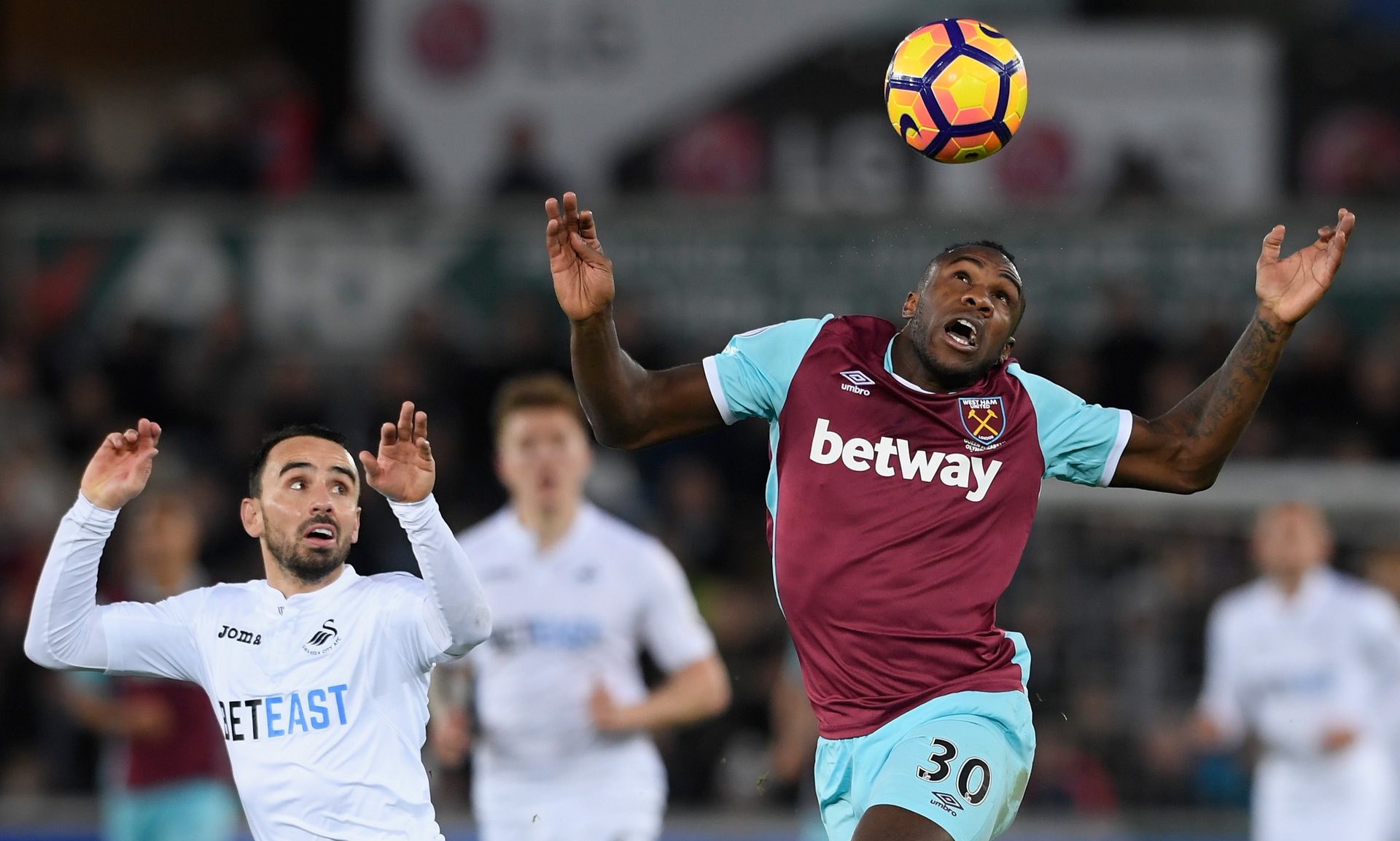 如此受欢迎 如此受欢迎